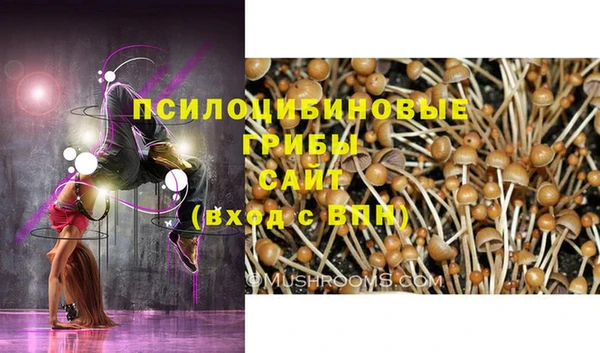 скорость Алексеевка