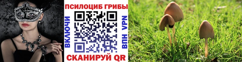 Псилоцибиновые грибы прущие грибы  Апрелевка 